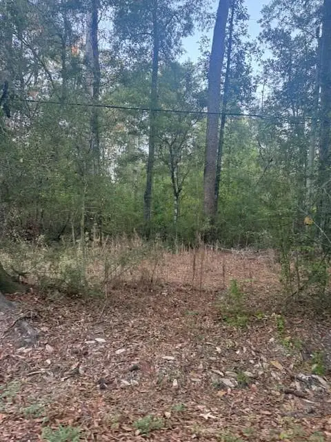 Will Richardson Road, Ponchatoula, LA 70454 - Image #1