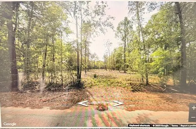 42217 Pasqua Road, Ponchatoula, LA 70454 - Image #1