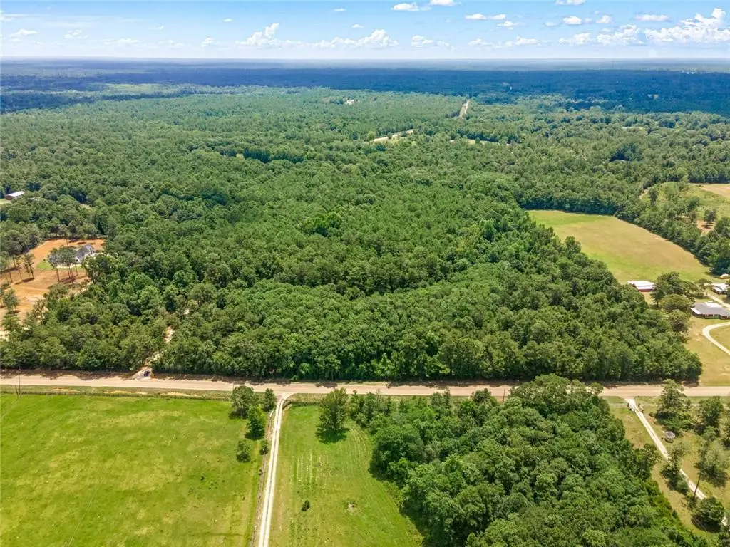 Parcels D and E-2 Old Military (hwy 1082) Road, Bush, LA 70431 - Image #1