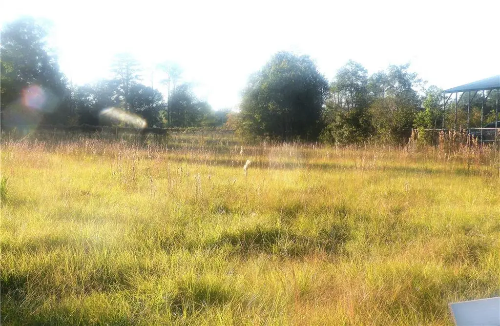 43 Highway, Albany, LA 70711 - Image #1