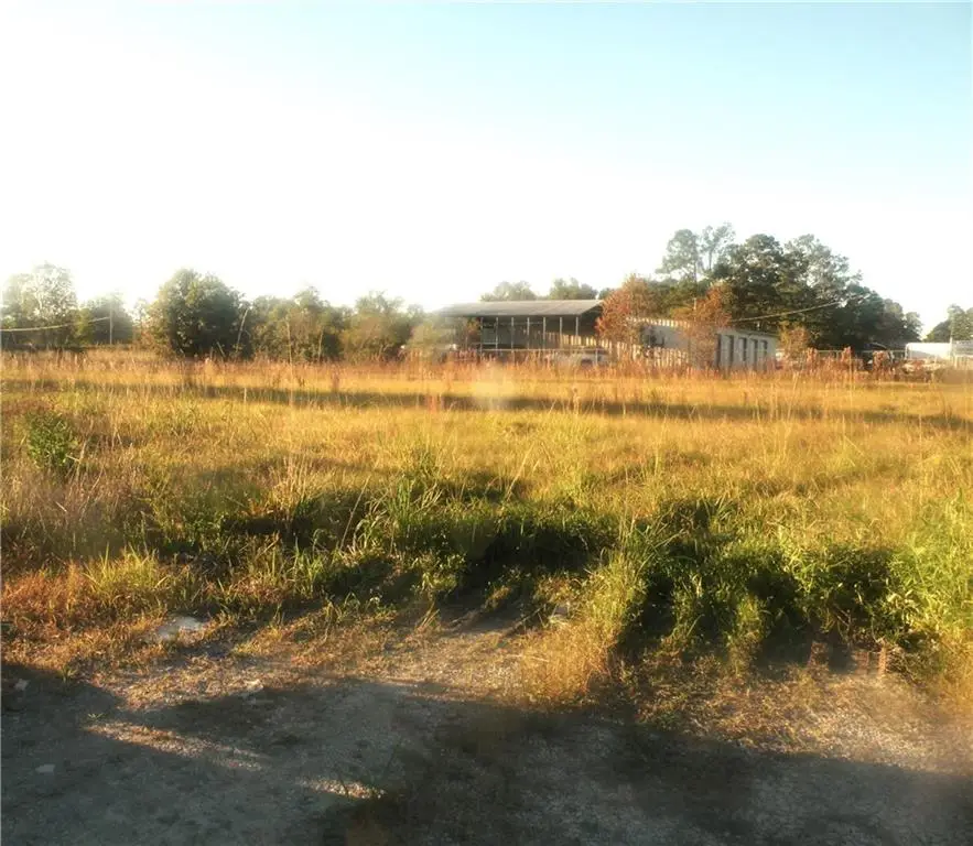 43 Highway, Albany, LA 70711 - Image #2