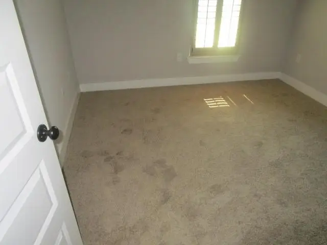 25237 Burlington Drive, Denham Springs, LA 70726 - Image #2