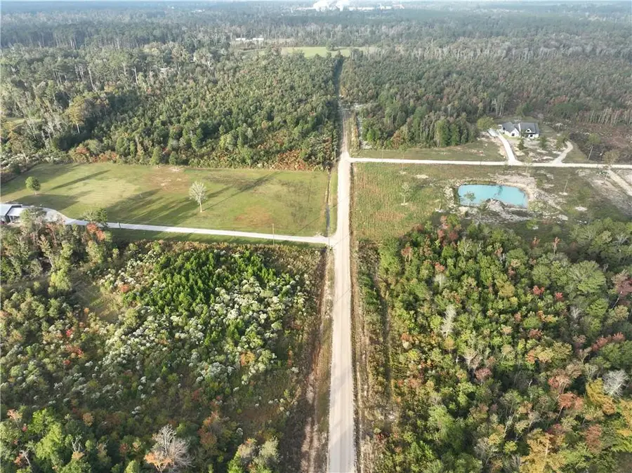 A1D-1 Bayou Lane, Holden, LA 70744 - Image #2