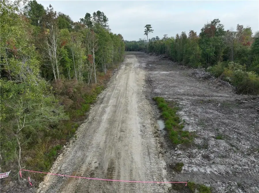 A1D-1 Bayou Lane, Holden, LA 70744 - Image #3