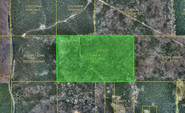 TBD 69.17 Acres Fincher Creek Road, Homer, LA 71040