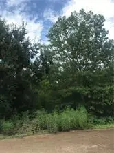 729 Woodridge Boulevard, Mandeville, LA 70471 - Image #1