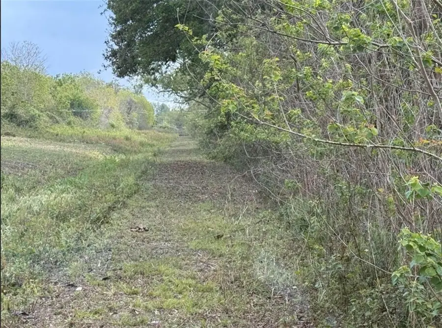 147 Wilson Lane, Braithwaite, LA 70040 - #3