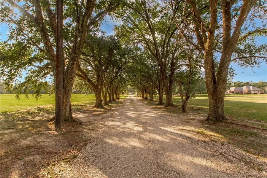 30997 La-22 Highway, Springfield, LA 70462 - Image #2