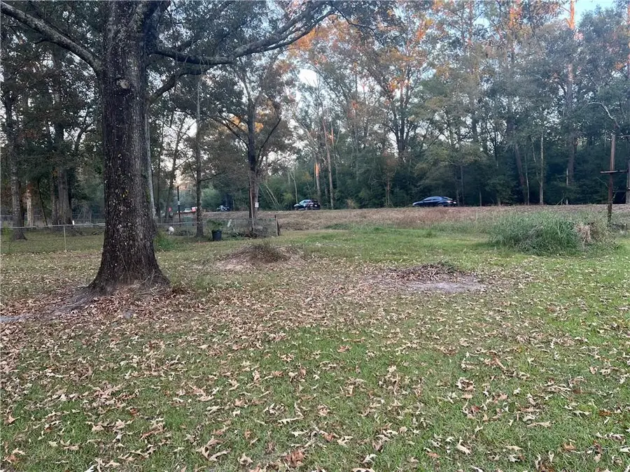 25361 Juban Road, Denham Springs, LA 70726 - Image #2