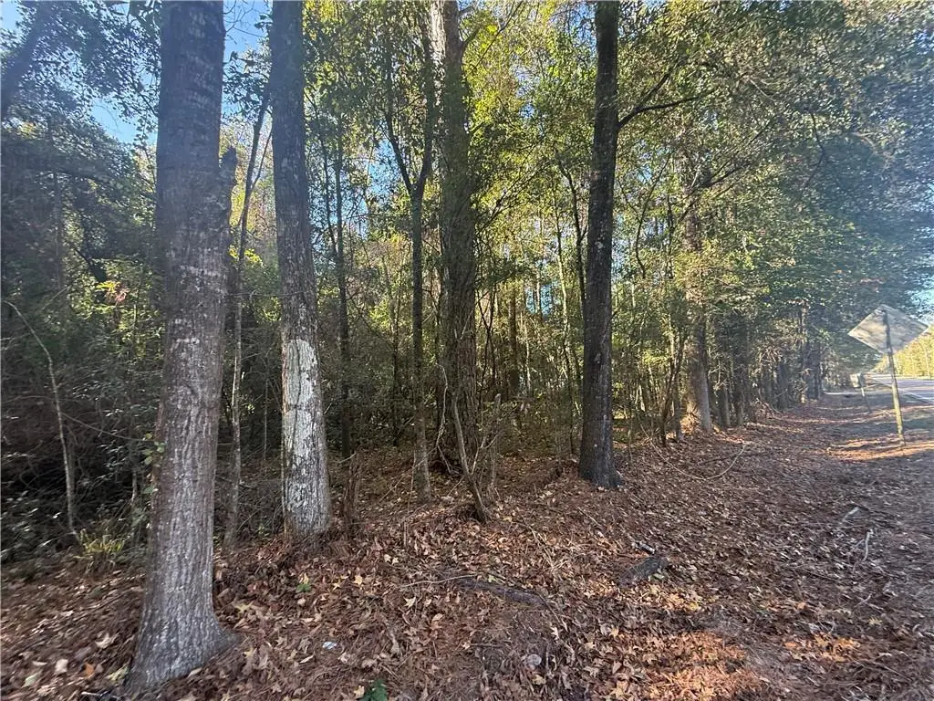 29100 La-16 Highway, Sun, LA 70463 - Image #1