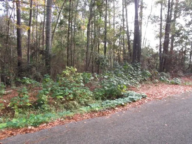 0 Williiams Road, Slidell, LA 70460 - Image #2