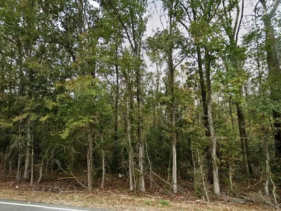 24075 Blood River Road, Springfield, LA 70462 - Image #3