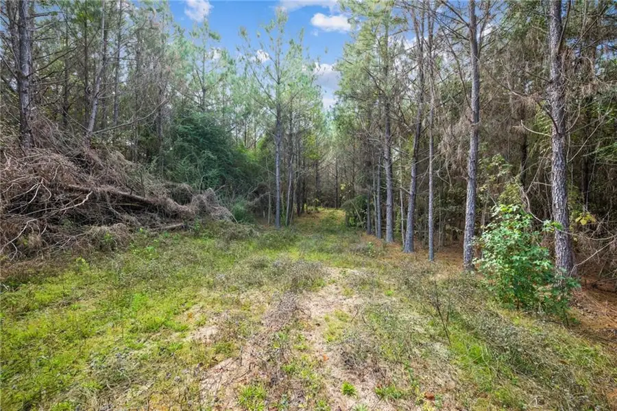 Highway 62, Franklinton, LA 70438 - Image #3