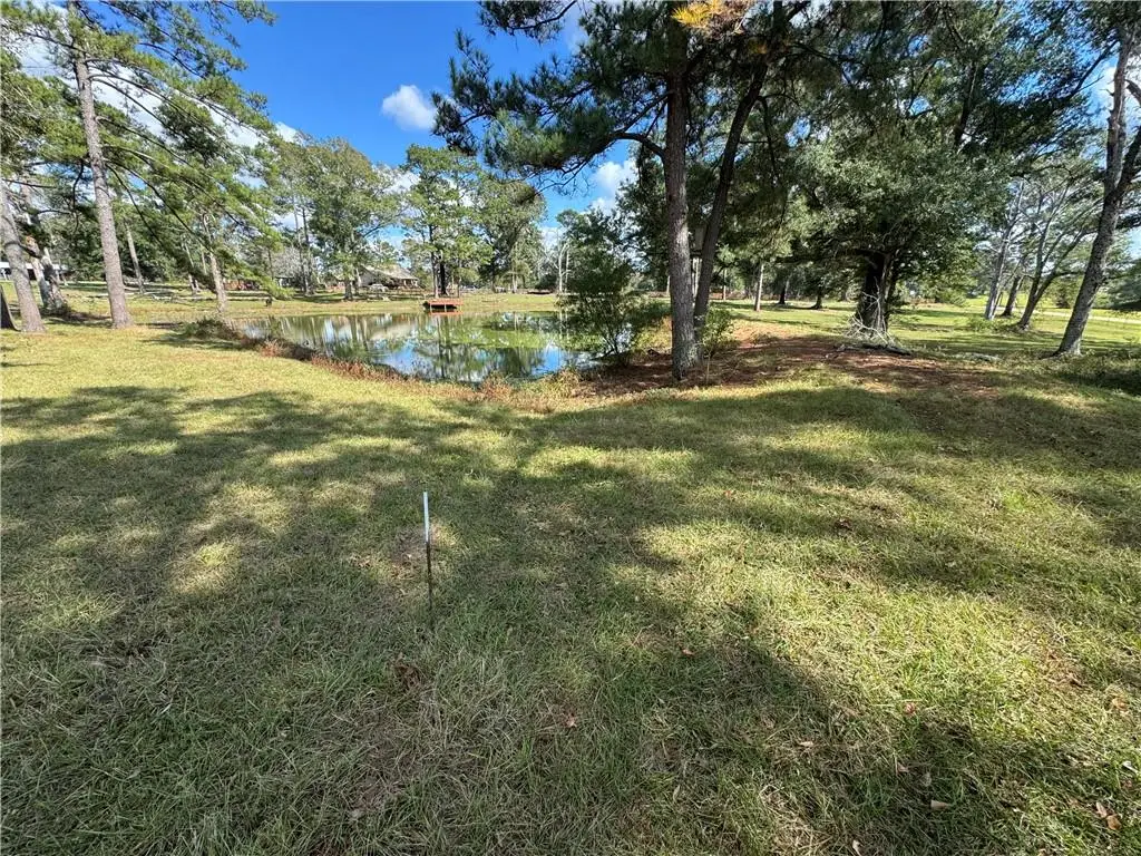 East Bell Road, Amite, LA 70422 - Image #1
