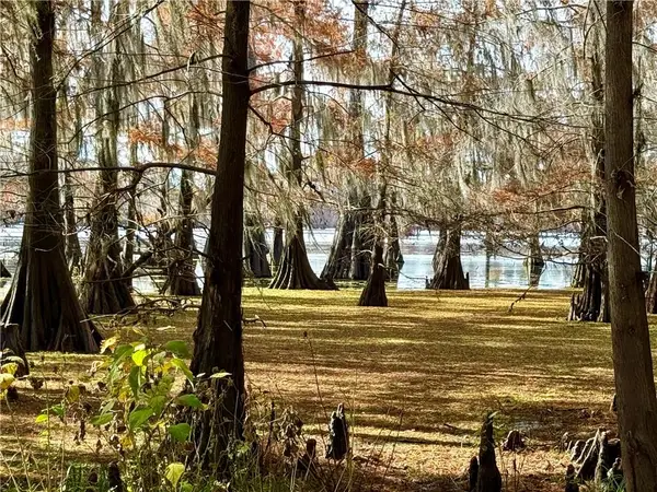 Hardwater Lake Road, Pollock, LA 71467