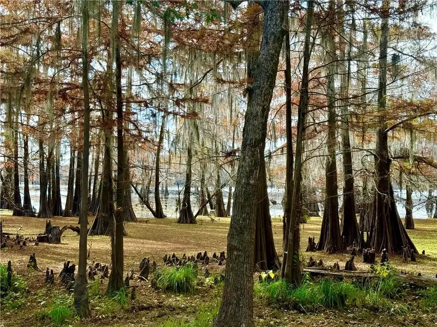 Hardwater Lake Road, Pollock, LA 71467 - Image #2