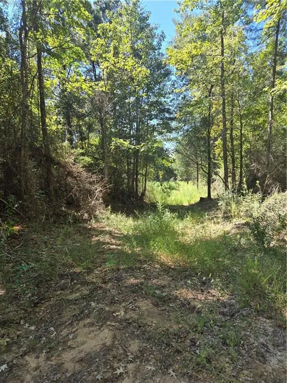 Riser Road, Sikes, LA 71473 - Image #2