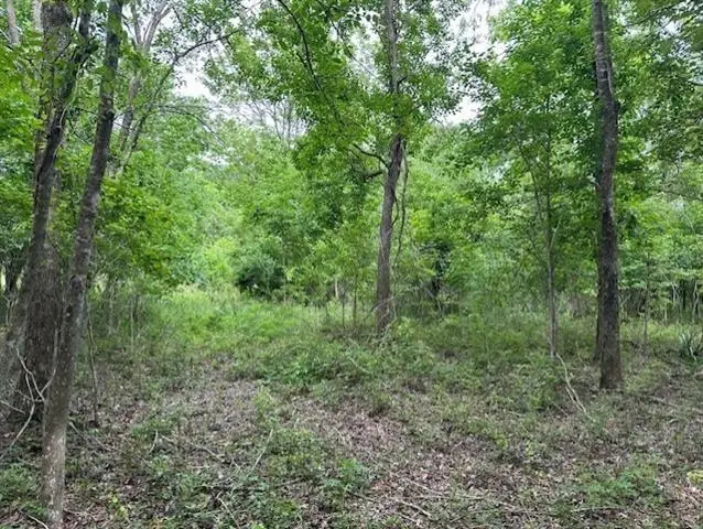 0 Todd Drive, Saint Bernard, LA 70085 - Image #1