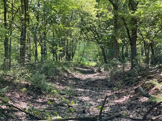 Poydras Plant Lot 10, Saint Bernard, LA 70085 - Image #1