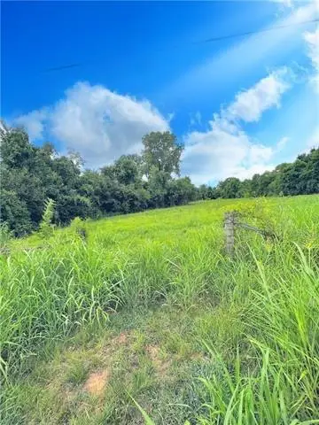 0 Eddie Williams Avenue, Alexandria, LA 71302 - #3