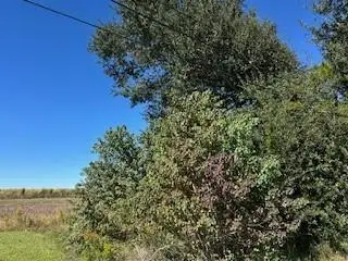 418 E 6th Street, Edgard, LA 70049 - Image #2