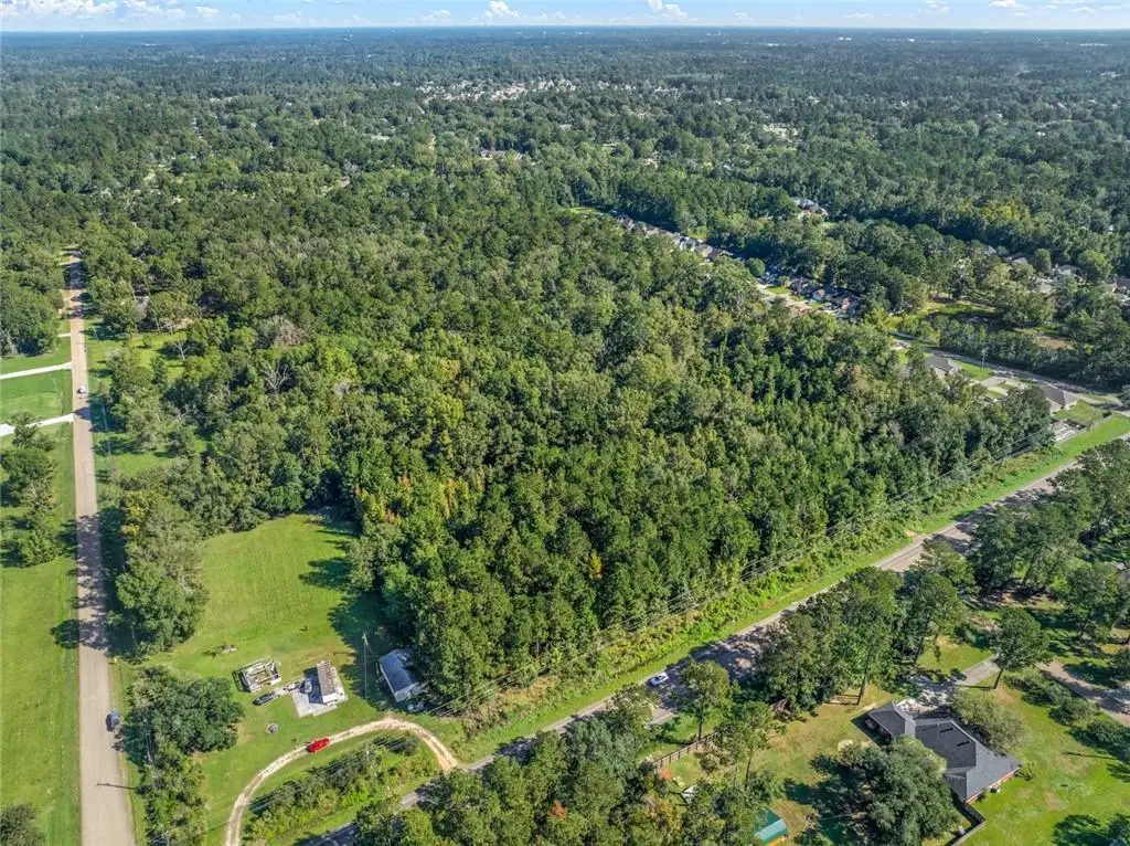 TBD W Highway 22 Highway, Ponchatoula, LA 70454 - Image #1