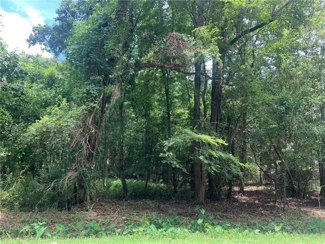 Lot 8 Penns Chapel Road, Mandeville, LA 70471 - Image #2
