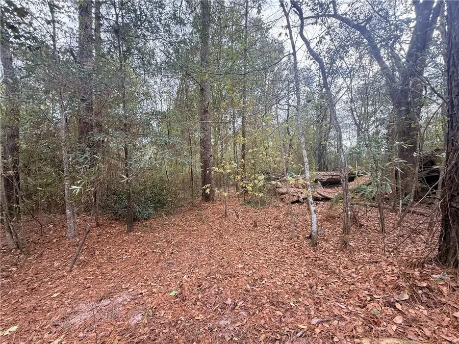 16040 W Murray Road, Ponchatoula, LA 70454 - Image #2