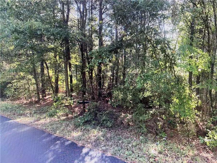 TBD Goldonna Road, Goldonna, LA 71031 - Image #3