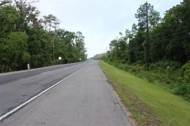 Hwy 190 Road, Albany, LA 70711 - Image #2