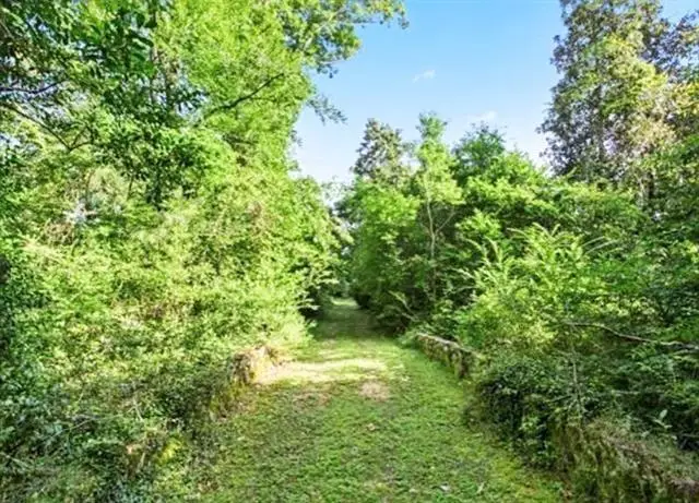 Bamboo Lane, Covington, LA 70435 - Image #2