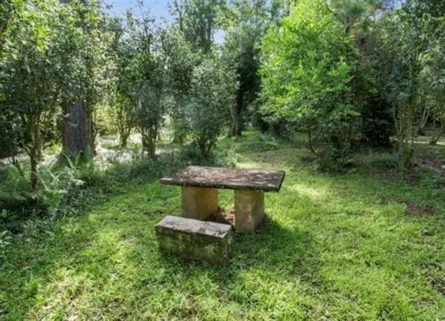 Bamboo Lane, Covington, LA 70435 - Image #3