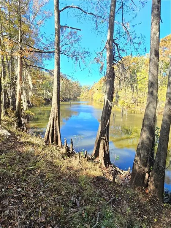 Section 13 T10n R03w, Winnfield, LA 71483 - Image #1