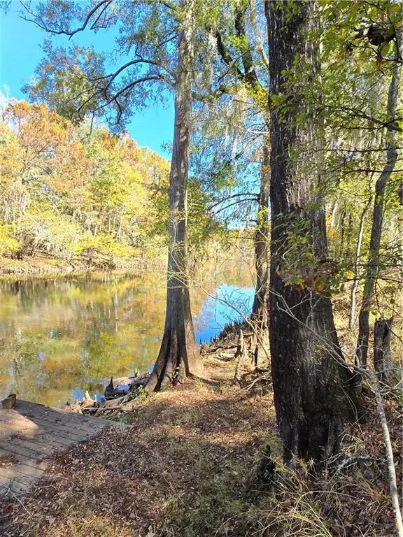 Section 13 T10n R03w, Winnfield, LA 71483 - Image #2