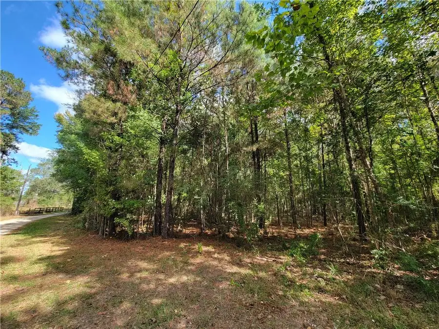 14042 Mill Creek Road, Franklinton, LA 70438 - Image #3