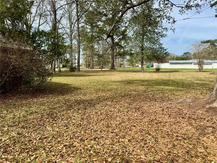 55315 Highway 51 Highway, Independence, LA 70443 - Image #3