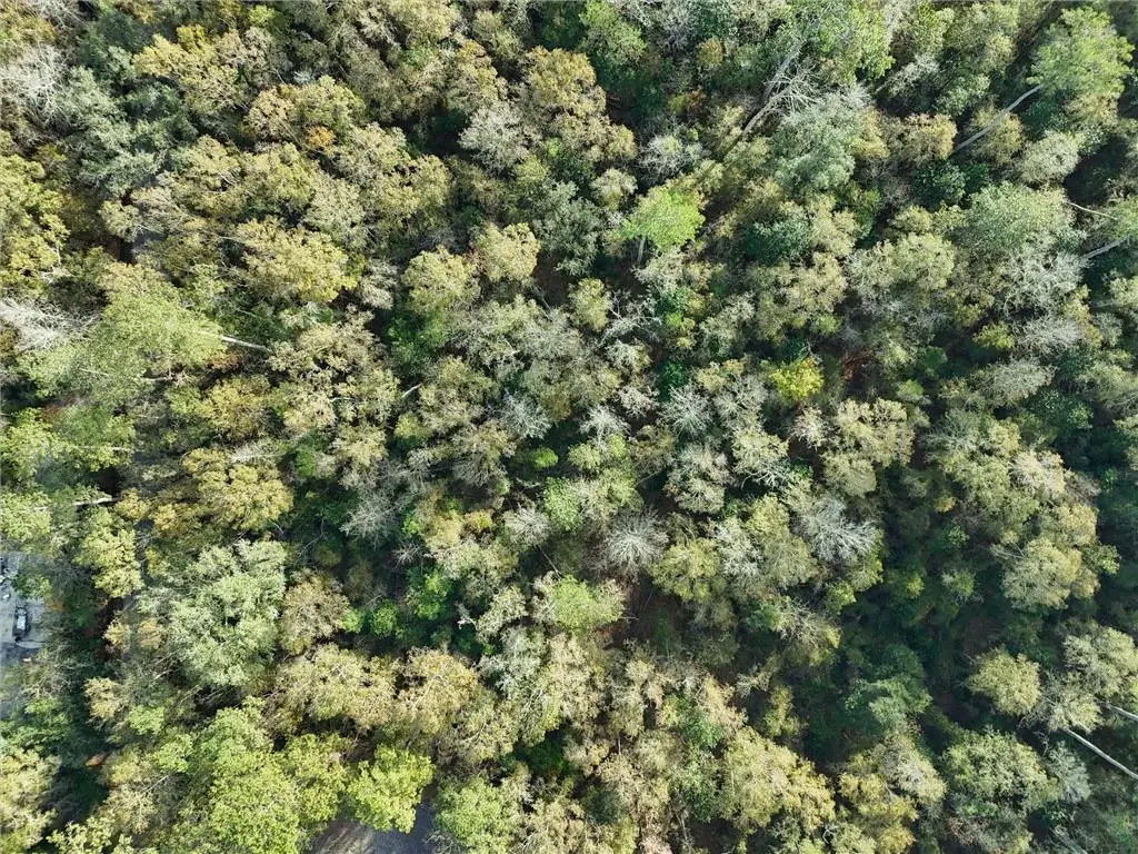 Parcel 2 Wilson Road, Covington, LA 70435 - Image #1