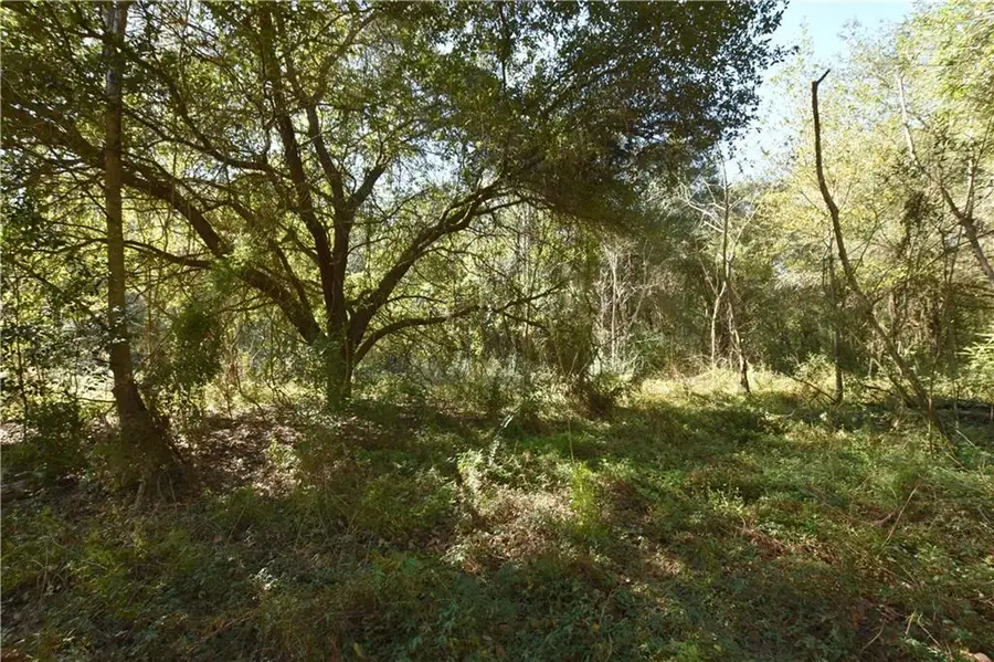 67579 Hwy 41 Highway, Pearl River, LA 70452 - Image #3