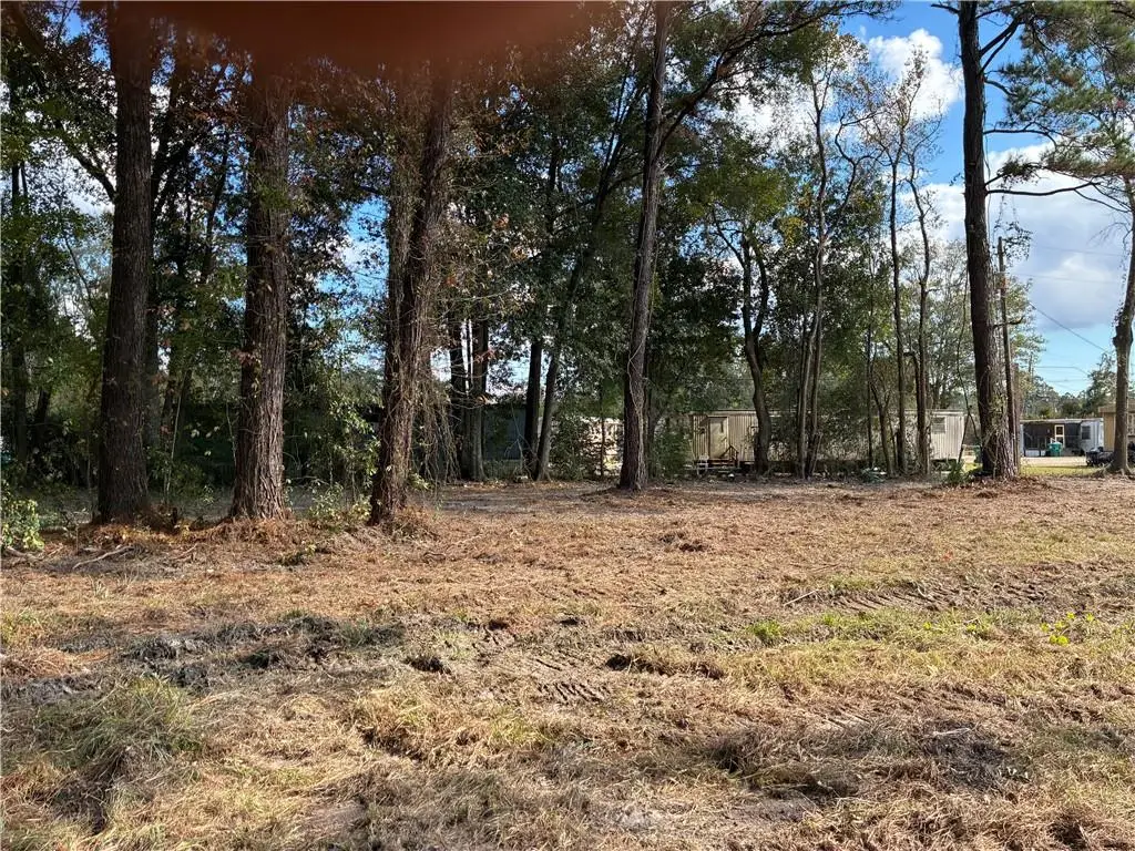 788 E Pine Street, Ponchatoula, LA 70454 - Image #1