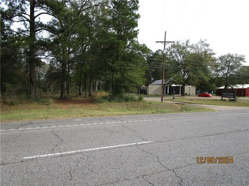 0 Hwy 165 Highway, Pollock, LA 71467 - Image #1
