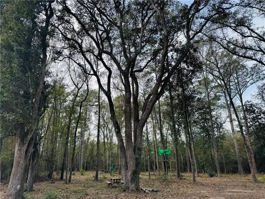 79789 N Willie Road, Folsom, LA 70437 - Image #2