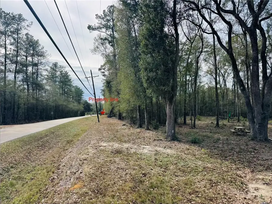 79789 N Willie Road, Folsom, LA 70437 - Image #3