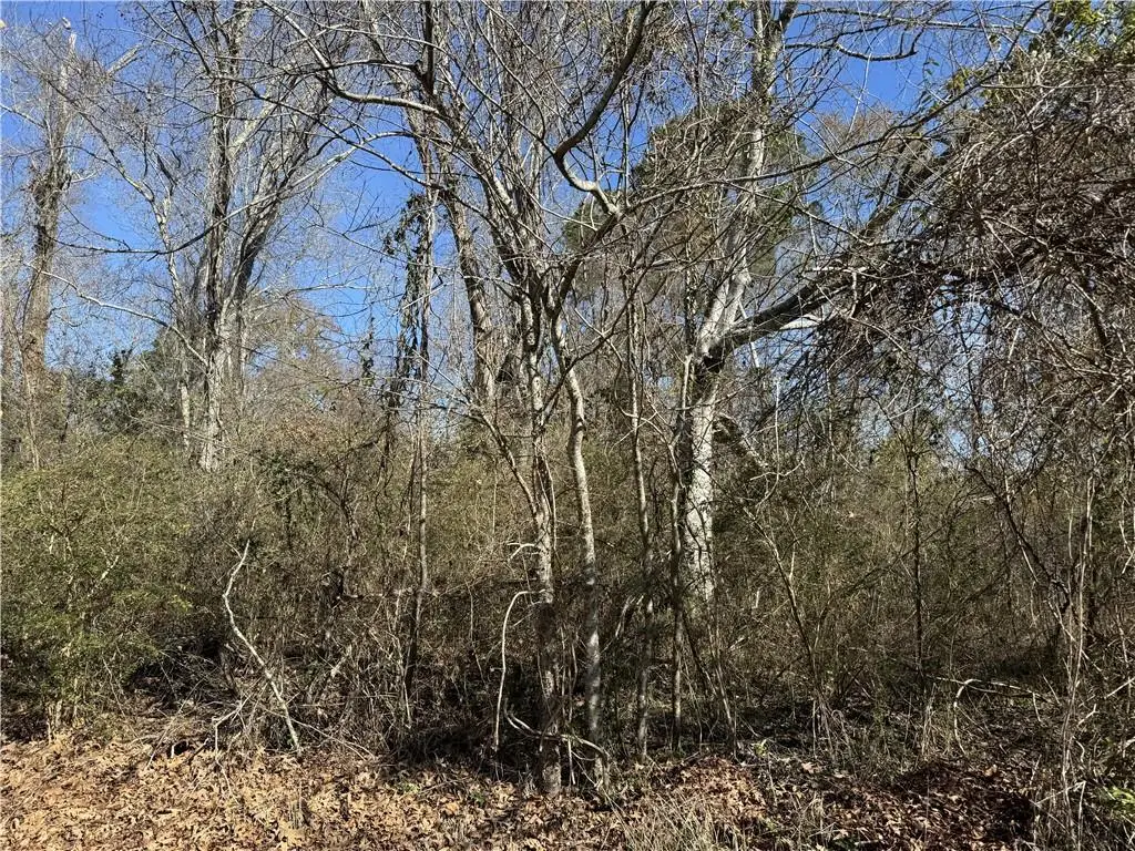 1251 Bayou Drive, Mandeville, LA 70448 - Image #1