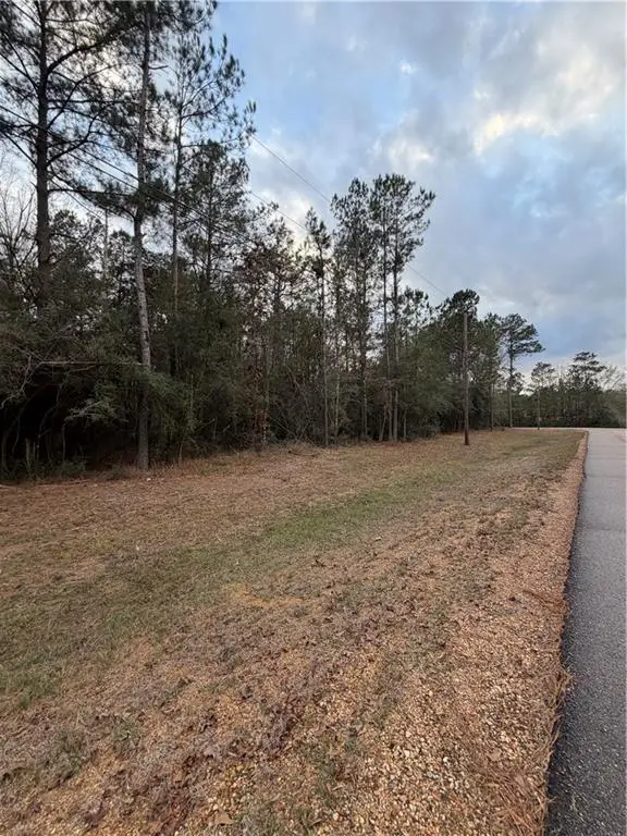 TBD 6.982 AC Providence Estates Road, Amite, LA 70422