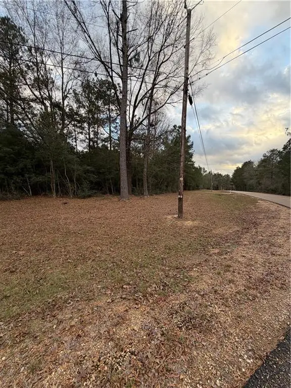 TBD 6.982 AC Providence Estates Road, Amite, LA 70422 - #2