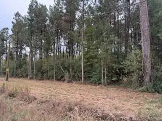 6.203 TBD 441 Highway, Holden, LA 70744 - Image #3