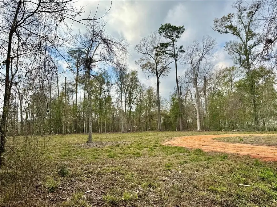 202 Shadow Lane, Mandeville, LA 70448 - Image #3