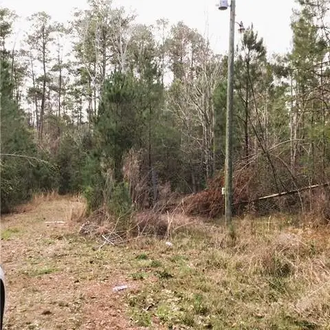 73482 Niblick Street, Abita Springs, LA 70420 - #2