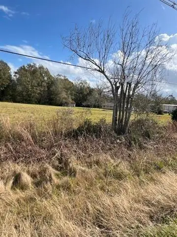 TBD Airport Road, Hammond, LA 70403 - Image #3