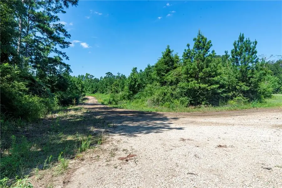 Lot 2 Ten Mile Road, Pitkin, LA 70656 - Image #3